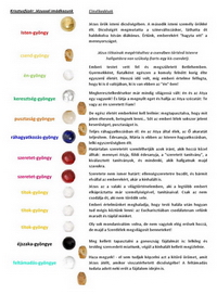 kattins a let�lt�shez